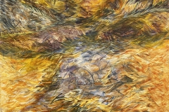 0225 Erlen-Licht-2025-120x95-cm